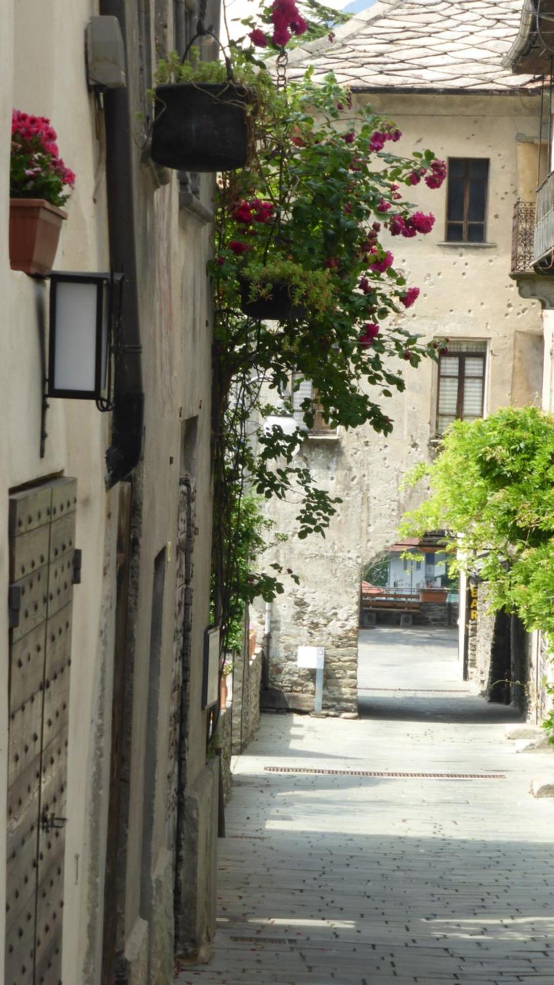 Hostel Casa Ciuca Bard Zewnętrze zdjęcie